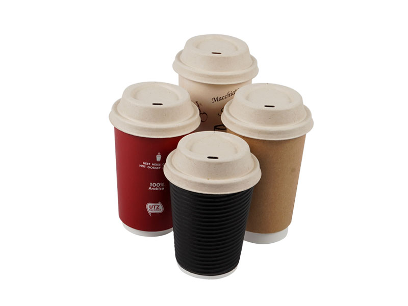 Earth Friendly Eco Personalized Disposable Compostable Biodegradable Paper Pulp Sip Lid