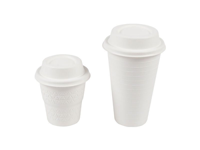 Small Disposable Compostable Biodegradable Paper Pulp Cold Sippy Cup
