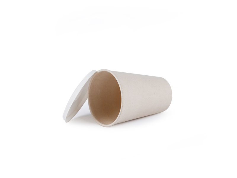 Bagasse Sugarcane Disposable Cheap Green Water Paper Pulp Cups Buck Price