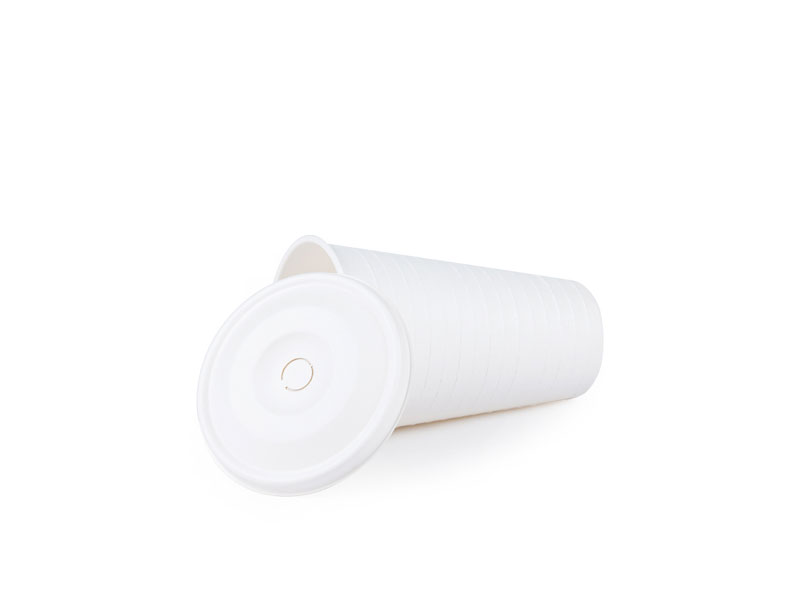 Recyclable Disposable Compostable Biodegradable Paper Pulp Ecocups