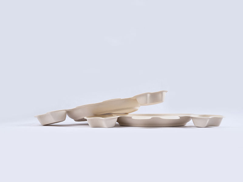 Eco Friendly Disposable Biodegradable Compostable Disposable Paper Pulp Food Tray Container
