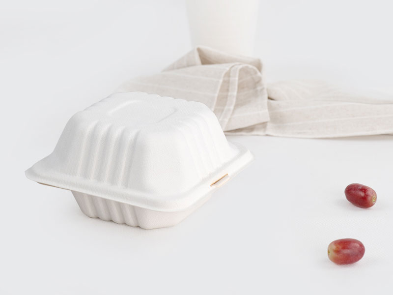 Eco Friendly Disposable Biodegradable Compostable Disposable Recyclable Paper Pulp Clamshell