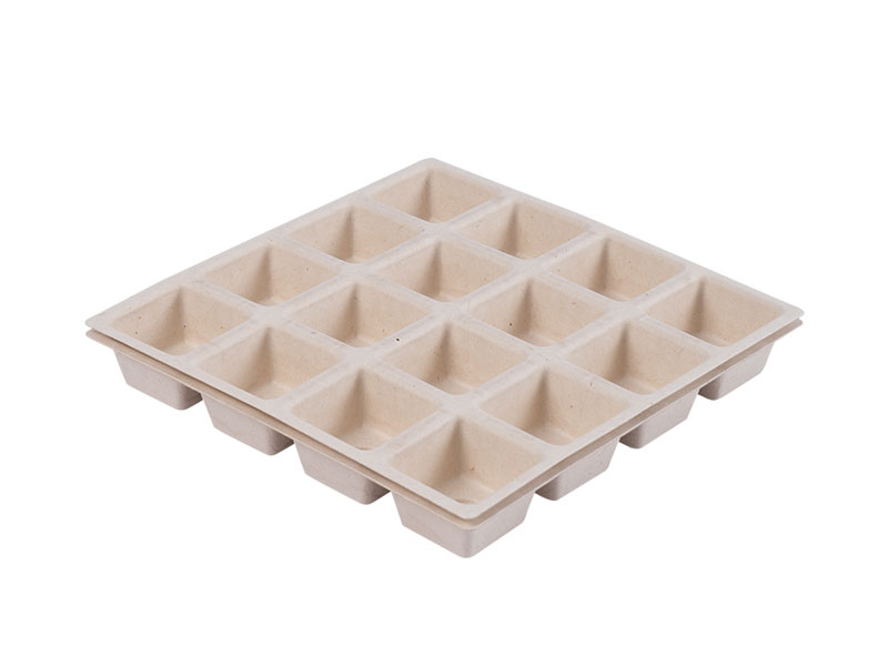 Eco Friendly Disposable Biodegradable Compostable Elegant Rectangle Paper Pulp Container