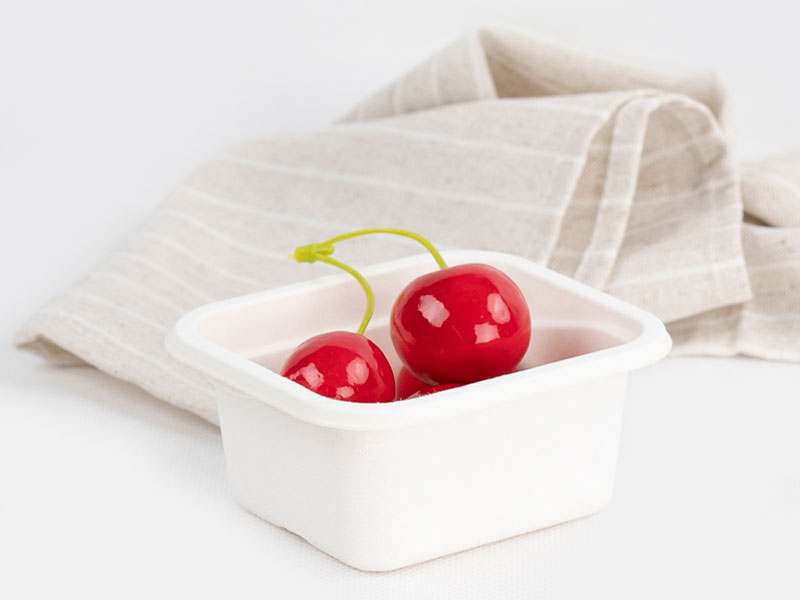Eco Friendly Disposable Biodegradable Compostable Plant Fiber Paper Pulp  Rectangular Container For Fruits