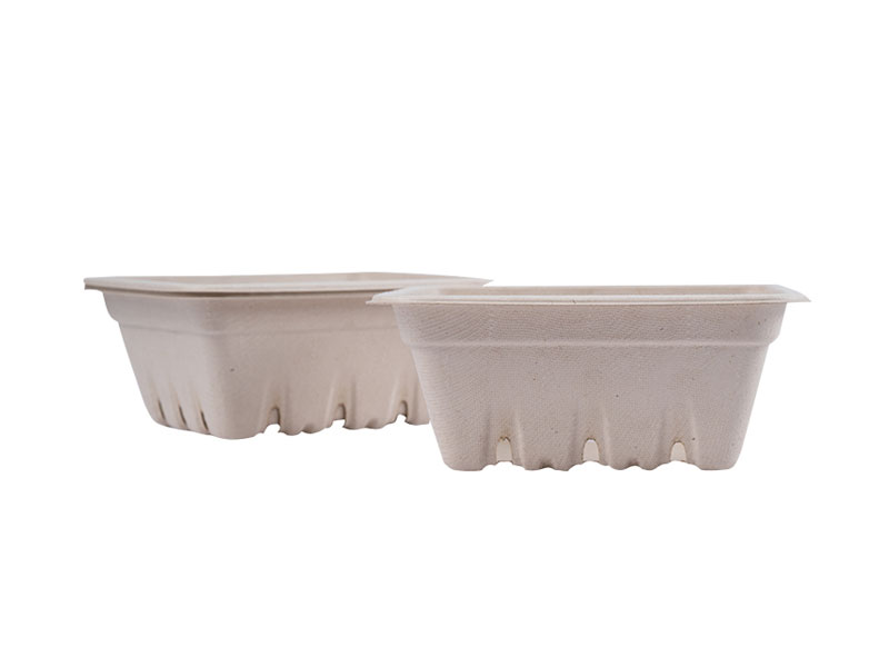 Zero Waste Eco Friendly Disposable Compostable Biodegradable Paper Pulp Square Container