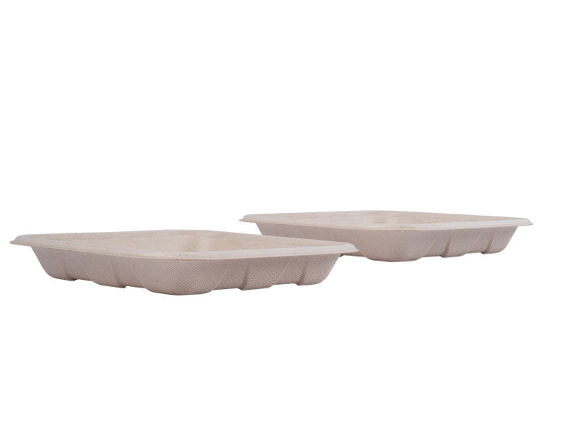 Disposable Biodegradable Compostable Decorative Dinner Paper Plate Dishes