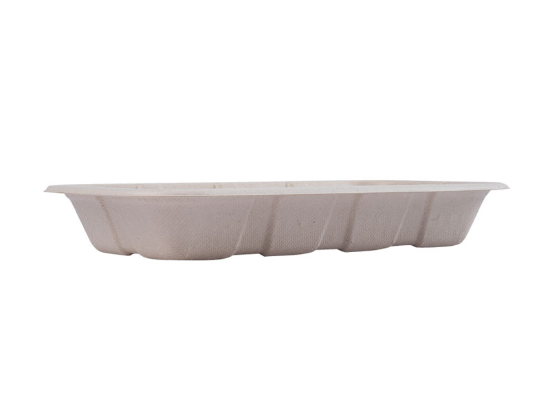 Environmentally Friendly High Quality Disposable Snack Paper Pulp Plates
