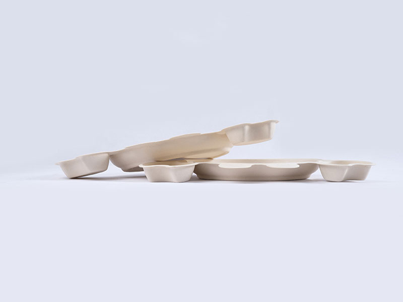 Environmentally Friendly High Quality Holiday Buffet Disposable Plates