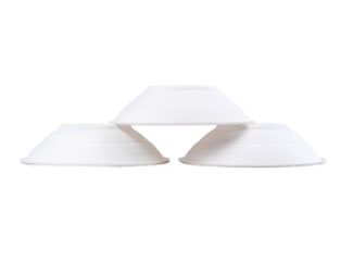 Bagasse Sugarcane Disposable Biodegradable Compostable Paper Pulp Christmas Plates