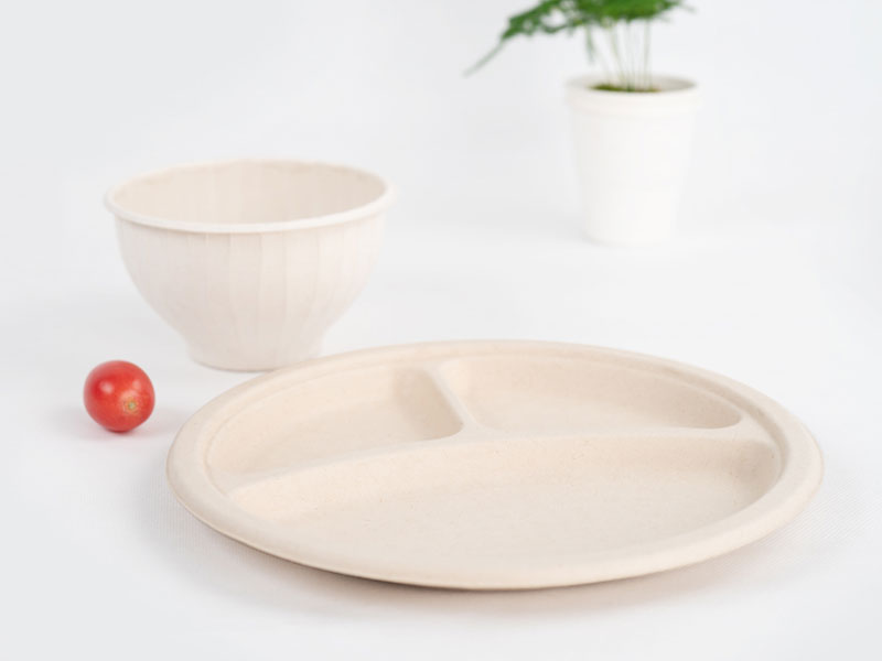 Eco Bagasse Sugarcane Disposable Recyclable Paper Pulp Serving Plates With 3 Compartments
