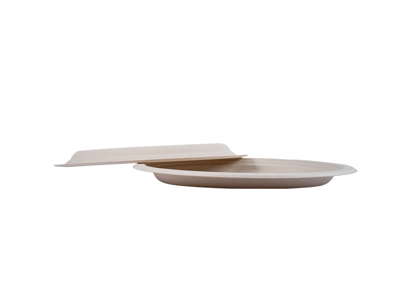 Eco Biodegradable Compostable Disposable Paper Dishes For Lunch