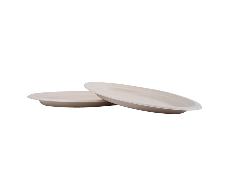 Eco Biodegradable Compostable Disposable Paper Dishes For Lunch