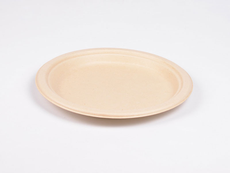 Eco Biodegradable Compostable Disposable Recyclable Paper Pulp Serving Plates