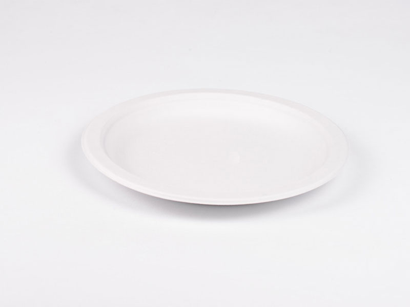 Eco Biodegradable Compostable Disposable Recyclable Paper Pulp Serving Plates