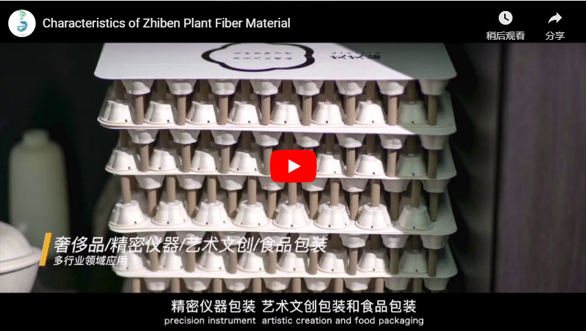 Characteristics of Zhiben Plant Fiber Material