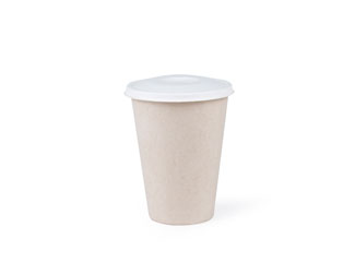 bagasse cup