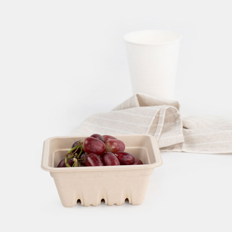 biodegradable catering molded packaging 