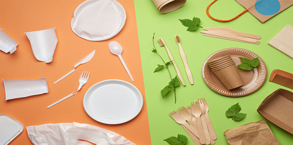 Compostable and Biodegradable, Fuyit Disposable Tableware Set of 200