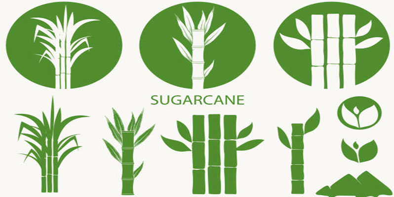 Is sugarcane renewable or nonrenewable