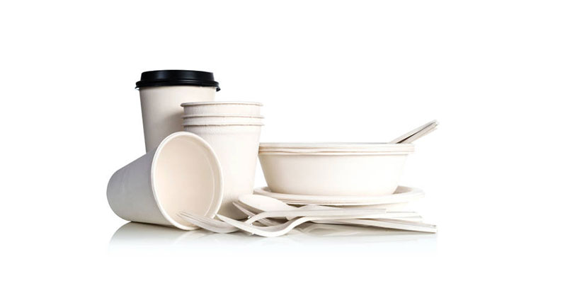 What is bagasse used for