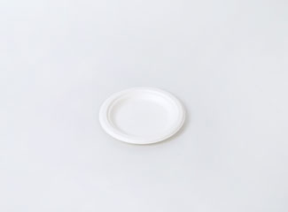 Eco Biodegradable White Disposable Paper Pulp Plates
