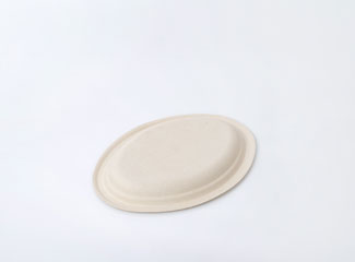 Disposable Biodegradable Compostable Paper Trays Price