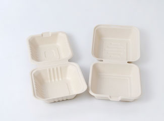 Disposable Biodegradable Paper Pulp Take Away Container