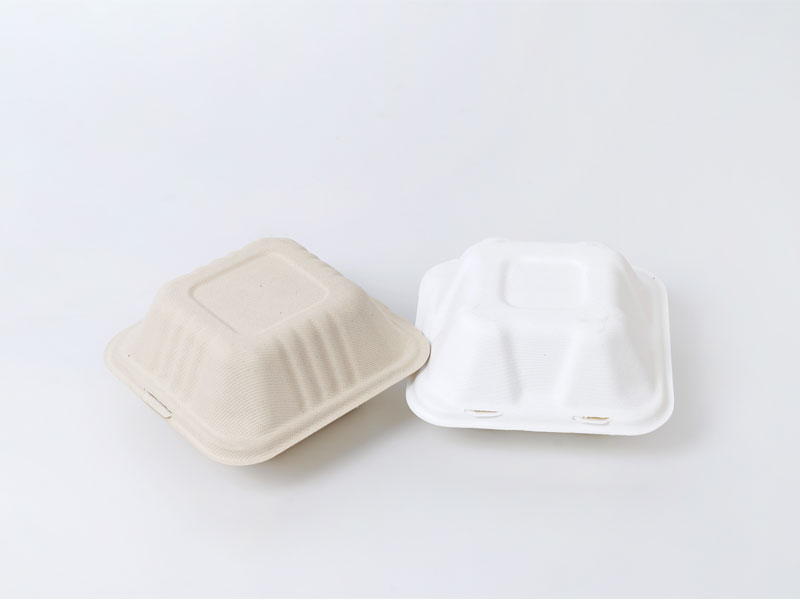 https://www.zhibeneco.com/uploads/image/20210915/11/eco-friendly-disposable-paper-pulp-clamshell-containers-2.jpg