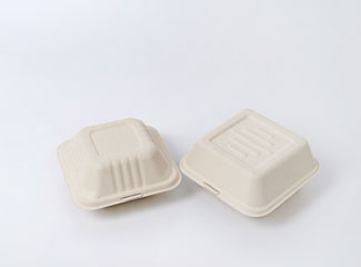 Eco Friendly Disposable Paper Pulp Clamshell Containers
