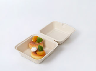 Zero Waste Disposable Sustainable Food Take Out Container Wholesale