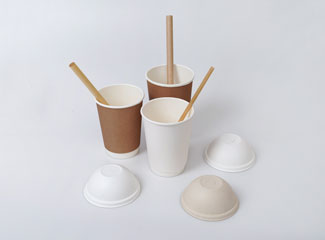 Eco Friendly Biodegradable Paper Pulp Straw Cups